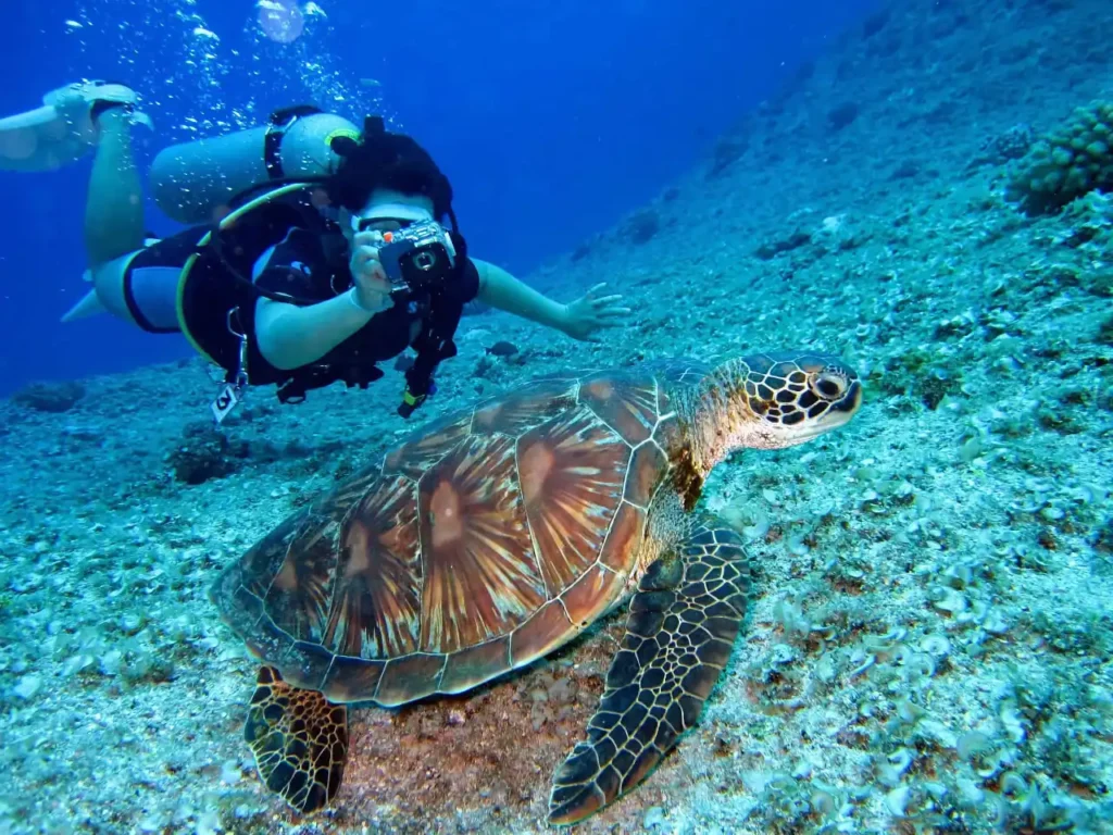 Scuba diver photographing a sea turtle in the clear blue waters off Ayia Napa, near Topikos Apartments, highlighting the underwater beauty of Cyprus