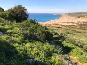 A scenic view of Cape Greco near Ayia Napa, Cyprus, featuring rich Mediterranean flora in the foreground with a clear view of the blue sea and sky in the background.